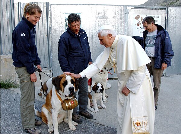 Wer wird schon vom Papst gestreichelt? Dieser Bernhardiner in der Schweiz hatte das Glück. 